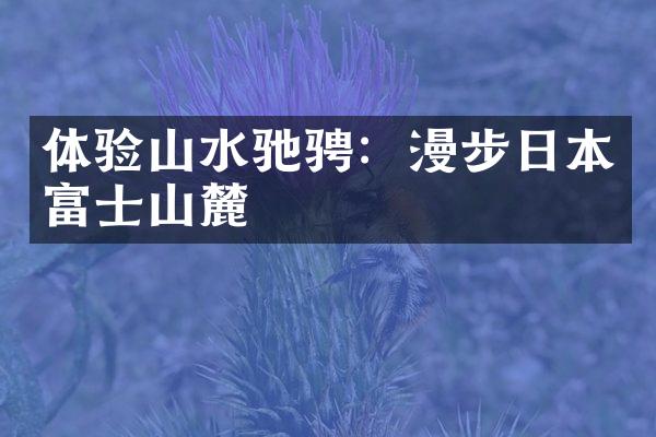 体验山水驰骋：漫步日本富士山麓