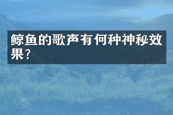 鲸鱼的歌声有何种神秘效果？