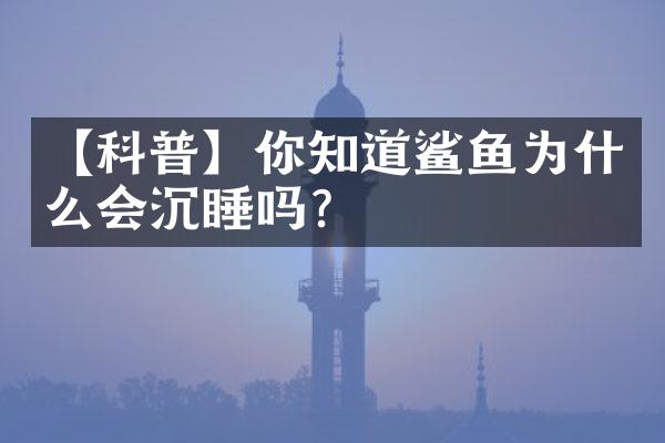【科普】你知道鲨鱼为什么会沉睡吗？