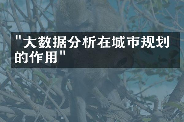 "大数据分析在城市规划中的作用"