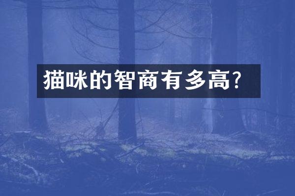 猫咪的智商有多高？