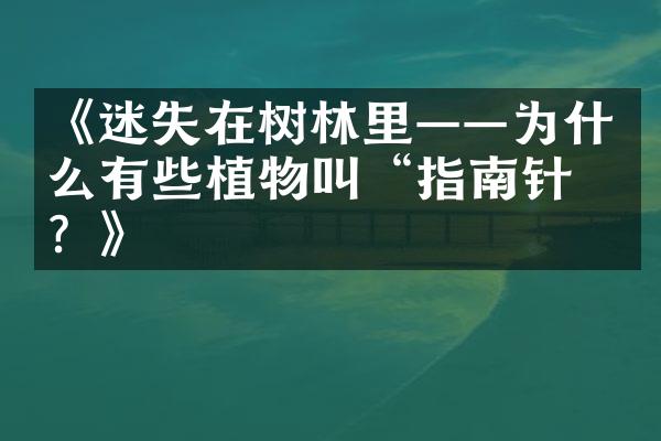 《迷失在树林里——为什么有些植物叫“指南针”？》