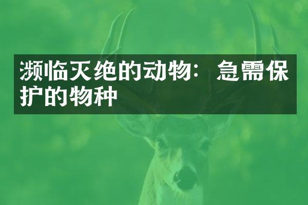 濒临灭绝的动物：急需保护的物种