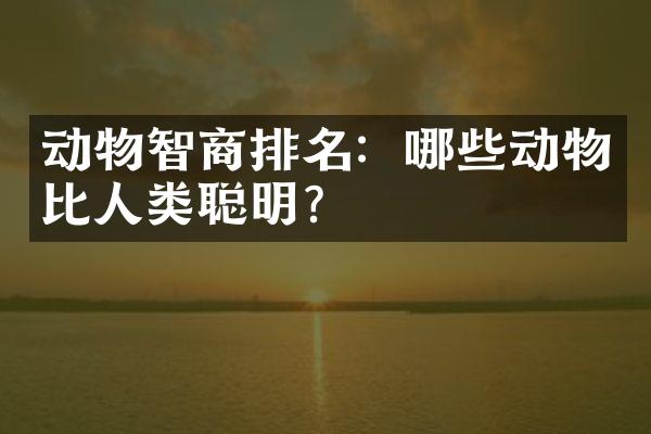 动物智商排名：哪些动物比人类聪明？