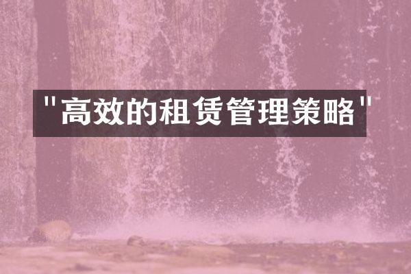 "高效的租赁管理策略"