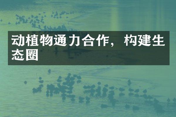 动植物通力合作，构建生态圈