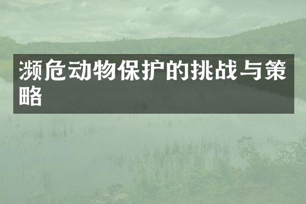 濒危动物保护的挑战与策略