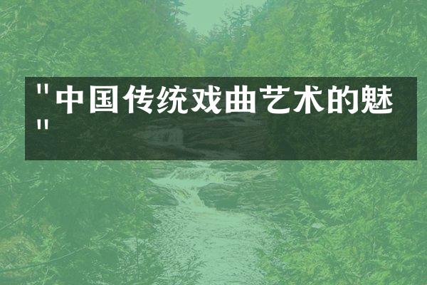 "中国传统戏曲艺术的魅力"