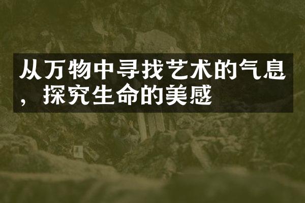 从万物中寻找艺术的气息，探究生命的美感