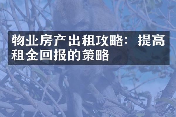 物业房产出租攻略：提高租金回报的策略