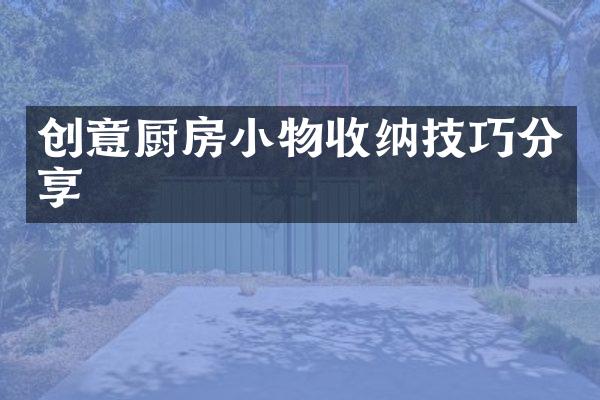 创意厨房小物收纳技巧分享