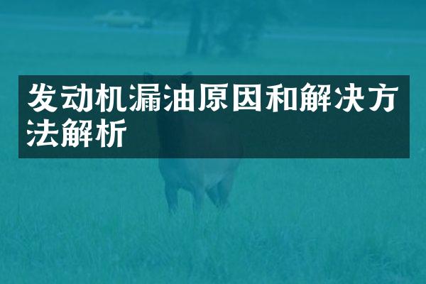 发动机漏油原因和解决方法解析
