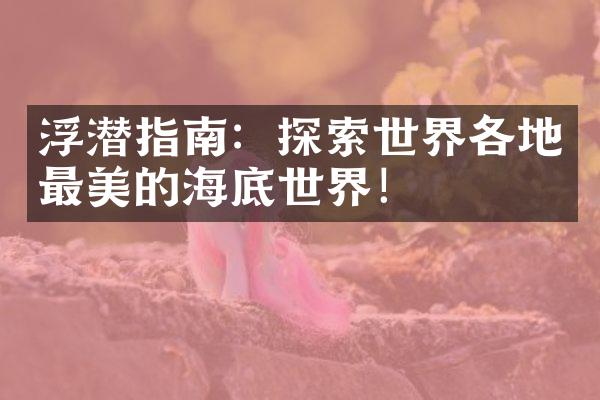 浮潜指南：探索世界各地最美的海底世界！