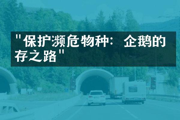 "保护濒危物种：企鹅的生存之路"