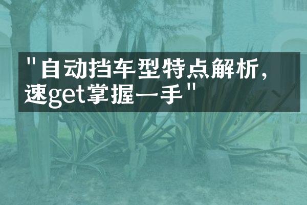 "自动挡车型特点解析，快速get掌握一手"