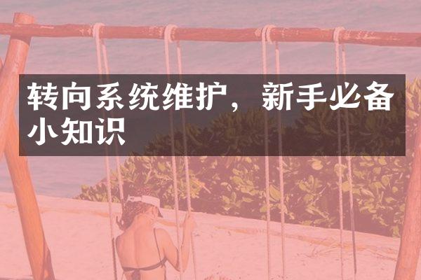 转向系统维护，新手必备小知识