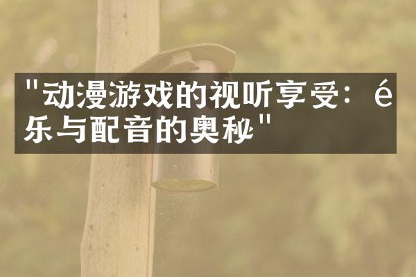 "动漫游戏的视听享受：音乐与配音的奥秘"