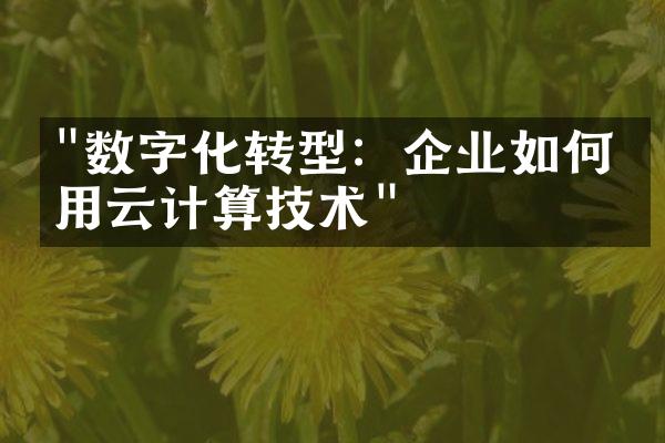 "数字化转型：企业如何利用云计算技术"