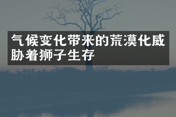 气候变化带来的荒漠化威胁着狮子生存