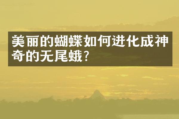 美丽的蝴蝶如何进化成神奇的无尾蛾？