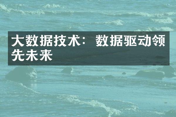 大数据技术：数据驱动领先未来