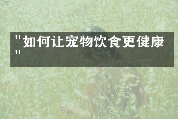 "如何让宠物饮食更健康？"