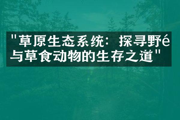 "草原生态系统：探寻野马与草食动物的生存之道"