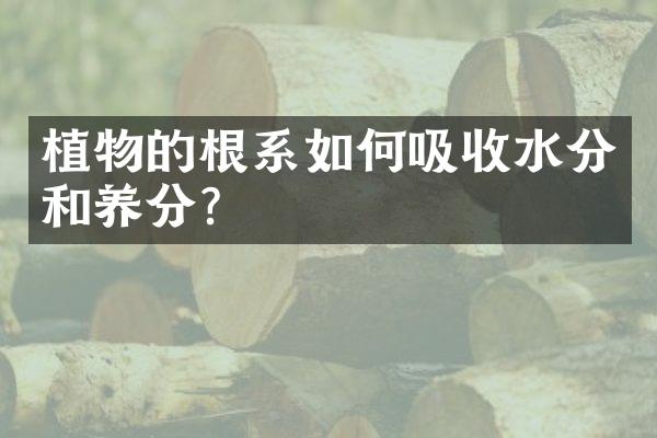 植物的根系如何吸收水分和养分？