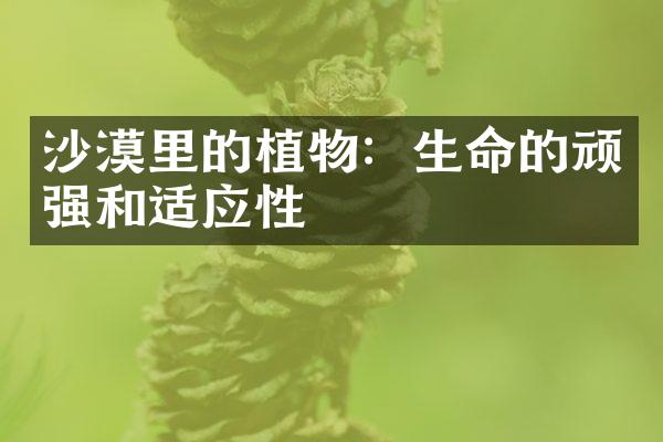 沙漠里的植物：生命的顽强和适应性