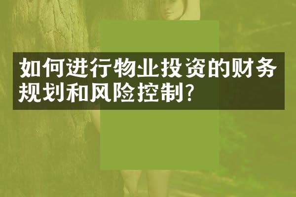 如何进行物业投资的财务规划和风险控制？