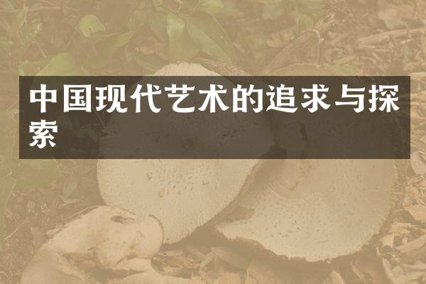 中国现代艺术的追求与探索