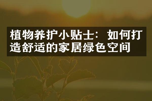 植物养护小贴士：如何打造舒适的家居绿色空间
