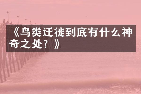 《鸟类迁徙到底有什么神奇之处？》