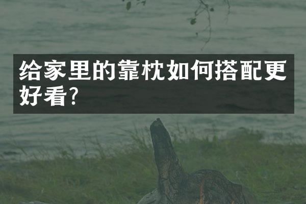 给家里的靠枕如何搭配更好看？