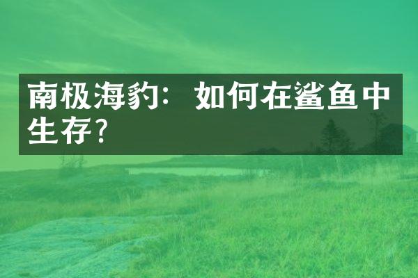 南极海豹：如何在鲨鱼中生存？