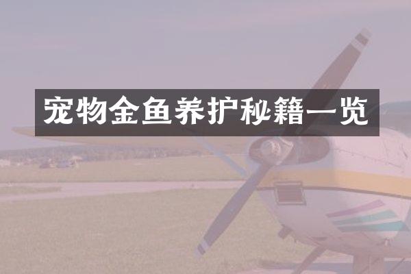 宠物金鱼养护秘籍一览