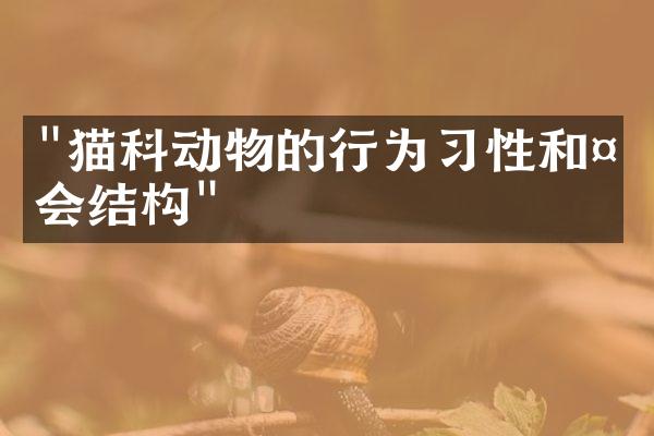 "猫科动物的行为习性和社会结构"