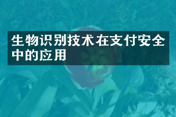 生物识别技术在支付安全中的应用