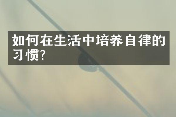 如何在生活中培养自律的习惯？