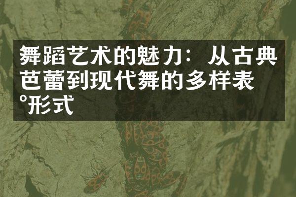 舞蹈艺术的魅力：从古典芭蕾到现代舞的多样表现形式