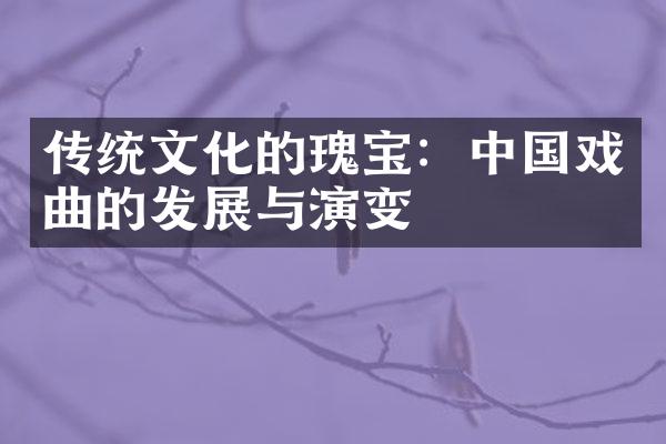 传统文化的瑰宝：中国戏曲的发展与演变