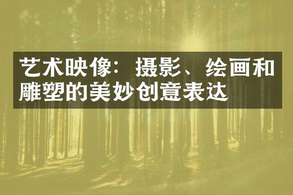 艺术映像：摄影、绘画和雕塑的美妙创意表达