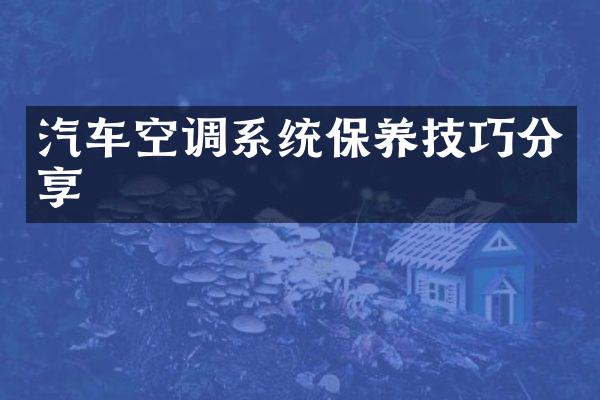 汽车空调系统保养技巧分享