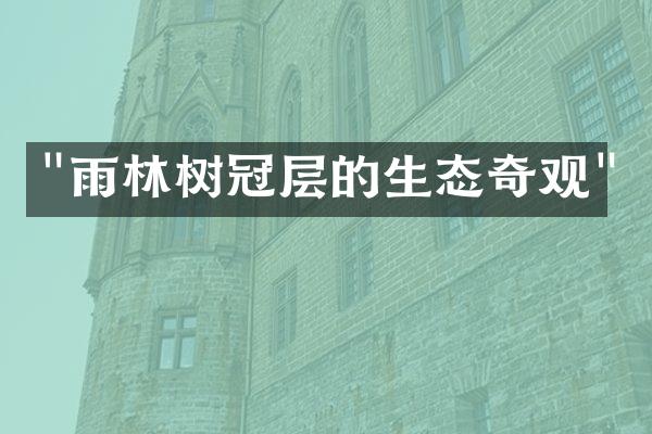 "雨林树冠层的生态奇观"