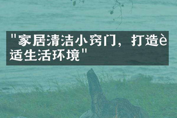 "家居清洁小窍门，打造舒适生活环境"