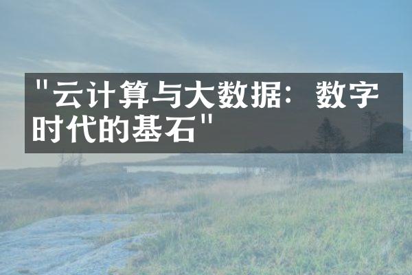 "云计算与大数据：数字化时代的基石"