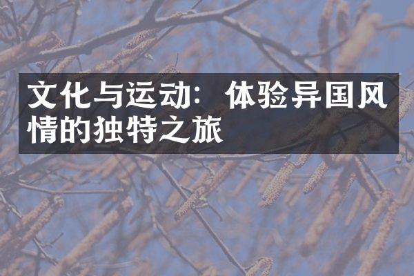 文化与运动：体验异国风情的独特之旅