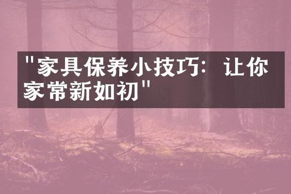 "家具保养小技巧：让你的家常新如初"