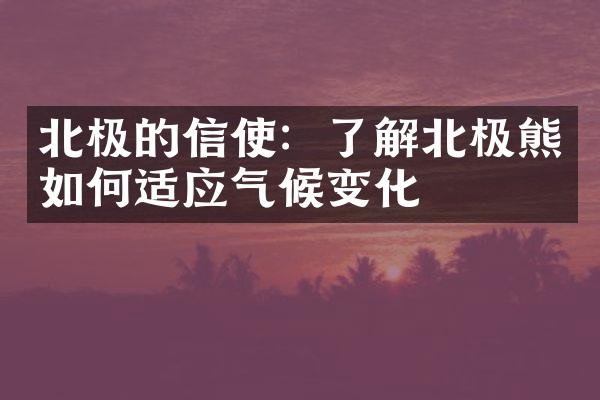 北极的信使：了解北极熊如何适应气候变化
