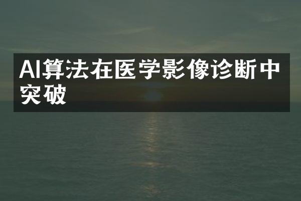 AI算法在医学影像诊断中的突破